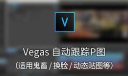 视频可以p图吗,如何从视频中提取与生成图像